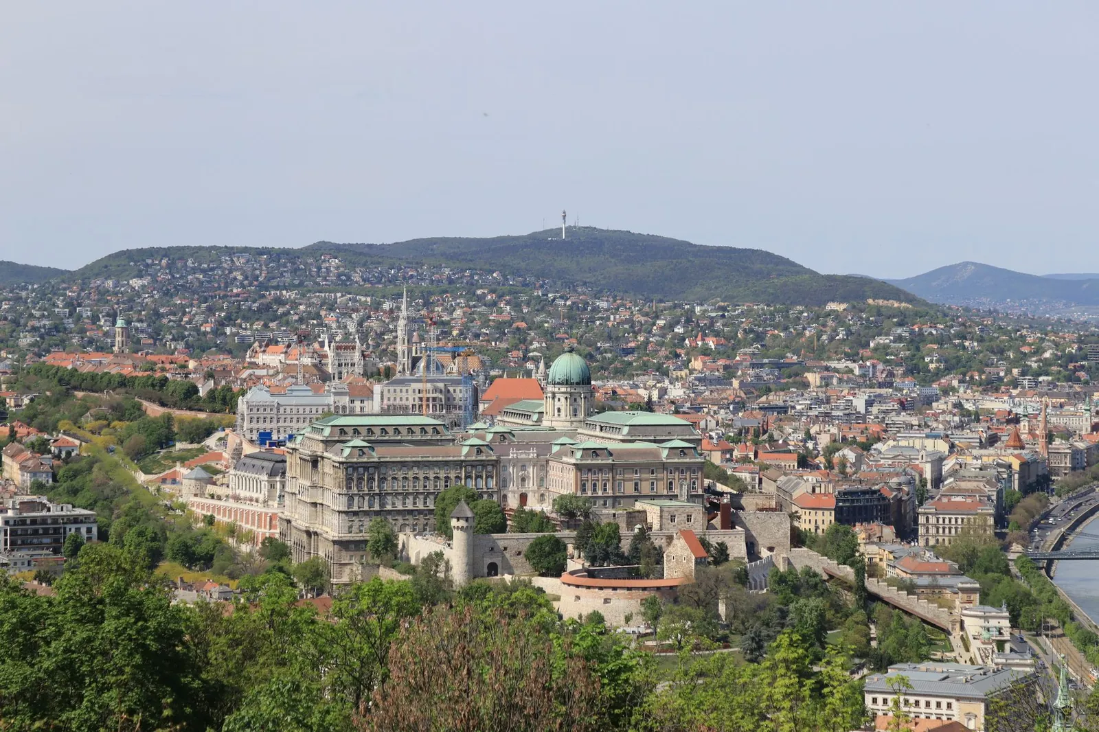 Buda Castle above the Danube in Budapest