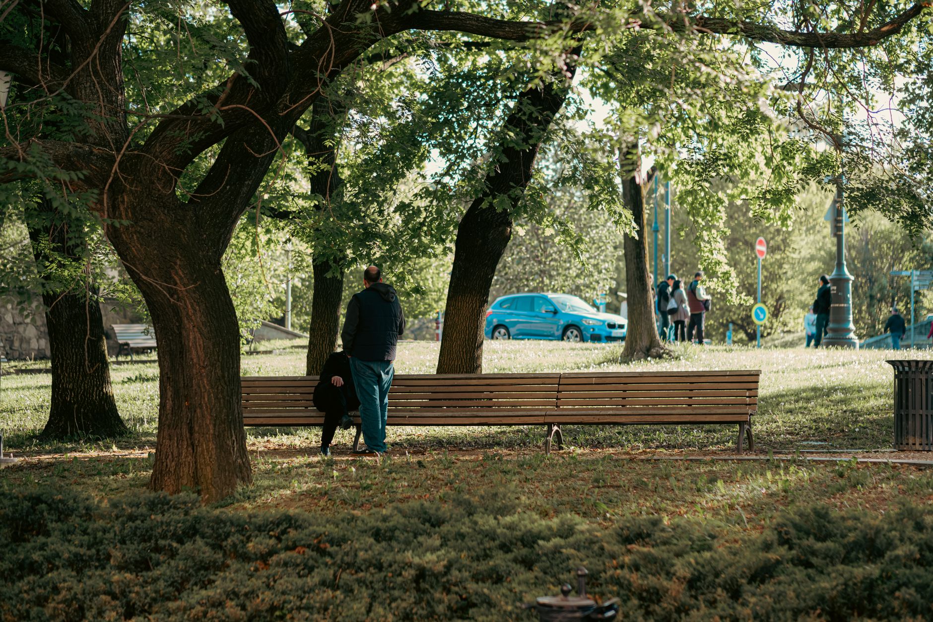 A green park with trees in Budapest