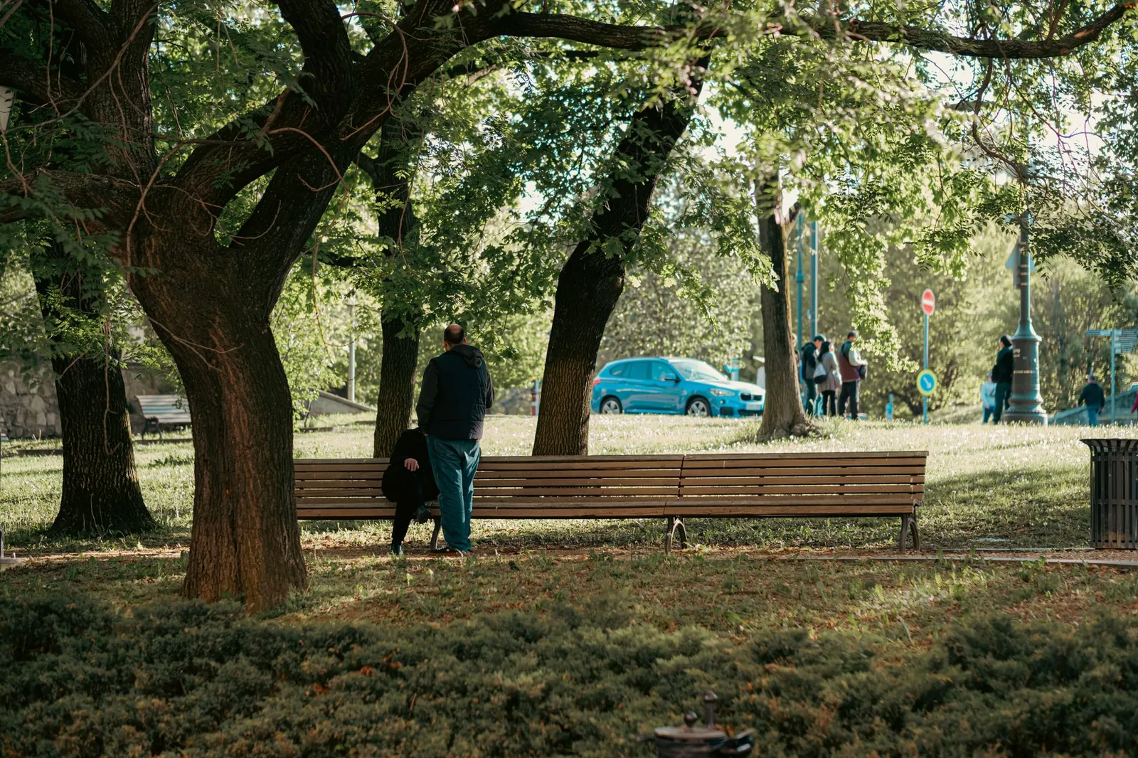 A green park with trees in Budapest